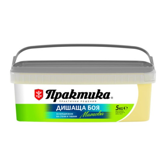 Практика Дишаща боя Ананас 5кг